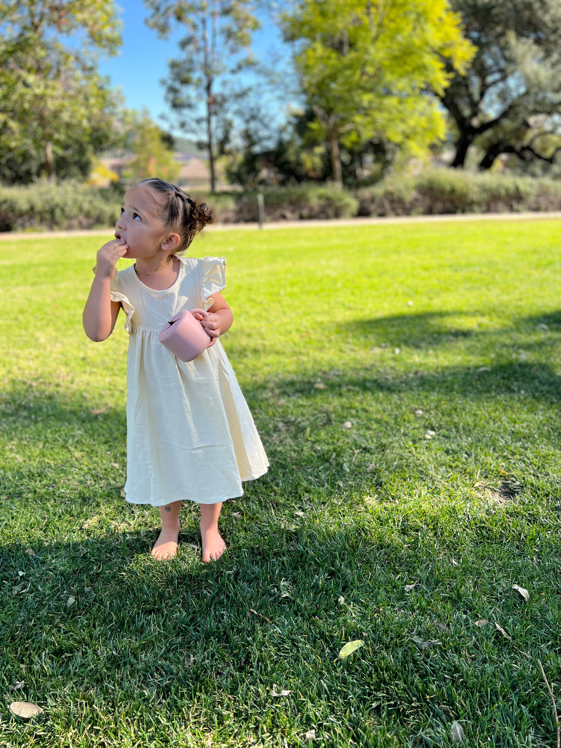 Amazons Highest Rated Snack Cup - SiliSnacker™